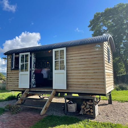 Toadland Shepherd Huts Durham Kültér fotó